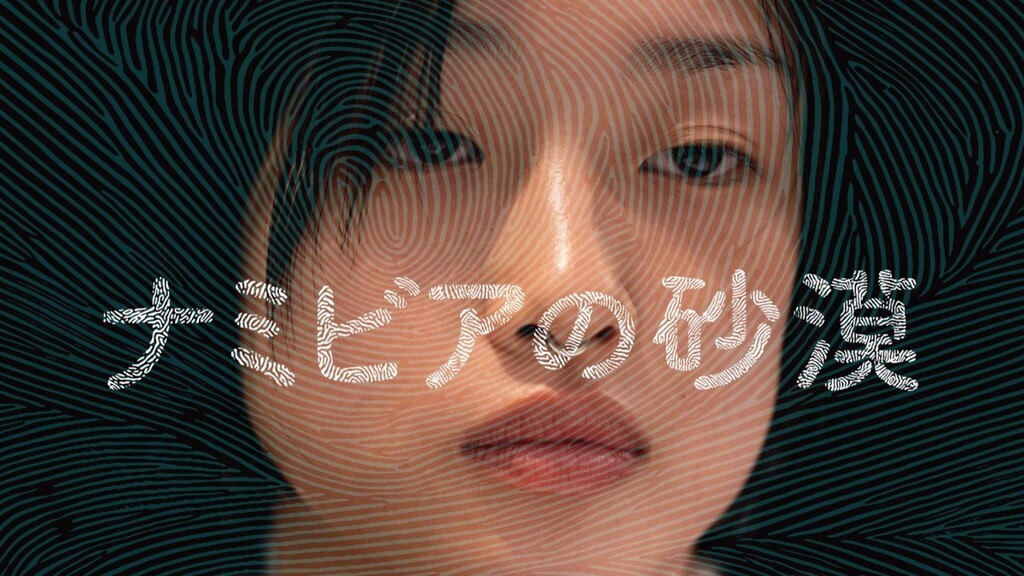 ナミビアの砂漠（2024年）